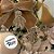 Enfeite Para Pendurar De Natal - Ginger Bread Menino - 11cm - 1 unidade - Cromus - Rizzo - Imagem 4