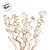 Palito Para Aromatizador - Varetas Espirais de Rattan - 24cm - 24 unidades - Rizzo - Imagem 3