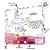 Kit Para Colorir Giga Book - Princesas - 10 Itens - 1 unidade - Disney Original - Rizzo - Imagem 2