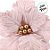 Poinsetia Decorativa - Rosa Claro - 26,5x26,5x9cm - 1 unidade - Cromus - Rizzo - Imagem 3