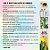 Haste de Chenille 30cm - Verde Musgo - 100 unidades - Art Montagem - Rizzo - Imagem 4