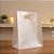 Sacola Transparente Fosca Pvc Alça Plana Rosa Bebê - 27x21x11cm - 12 unidades - Rizzo - Imagem 1