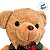Urso de Pelúcia Bege - Roupa Verde e Laço - 25cm - 1 unidade - Cromus - Rizzo - Imagem 4
