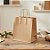 Sacola de Papel Kraft - Natural - 20x13,5x22cm - 10 unidades - Rizzo - Imagem 1