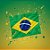Bandeira De Tecido - Brasil - 45x70cm - 1 unidade - Rizzo - Imagem 1