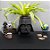 Cachepot de Plástico Para Planta - Darth Vader - Star Wars - 29cm - 1 unidade - Disney Original - Rizzo - Imagem 1