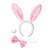 Kit Fantasia Coelhinho - Rosa e Branco - 29x12cm - 1 unidade - Rizzo - Imagem 5