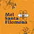 Mel Santa Filomena Florada Aroeira 3 bisnagas de 280g - Imagem 4