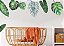 Adesivo De Parede Decorativo Conjunto Costela Adão Folhagem - Imagem 1