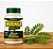 Moringa Oleifera 90 Cápsulas - Imagem 2