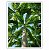 Quadro Decorativo Tropical Copa Palmeiras - Imagem 4
