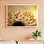 Quadro Decorativo Uma Flor com Gotas de Orvalho - Imagem 1