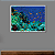 Quadro Decorativo Peixes Coloridos no Coral - Imagem 1
