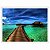 Quadro Decorativo Caminho para Cabana no Mar Água Verde - Imagem 4