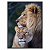 Quadro Decorativo Casal de Leões - Imagem 5