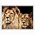 Quadro Decorativo Casal de Leões na Horizontal - Imagem 4