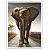 Quadro Decorativo Elefante Caminhando Sozinho na Rua - Imagem 4