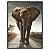 Quadro Decorativo Elefante Caminhando Sozinho na Rua - Imagem 5