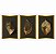 Trio de Quadros Decorativos Folhas Secas em Fundo Preto e Paspatur Dourado - Imagem 4