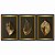 Trio de Quadros Decorativos Folhas Secas em Fundo Preto e Paspatur Dourado - Imagem 5