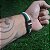 Pulseira Torcida - Alviverde - Imagem 3