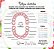 Livro da Bebê Personalizado | Panda Menina - Imagem 4