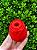 ROSA SUGADOR - Imagem 1