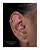 Piercing Argola com Zircônias Cravejadas Frontal Divya - Titânio - Imagem 4