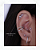 Piercing Labret Raminho com Zircônias Cravejadas - Titânio - Imagem 2