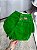 Short Jeans Feminino de Barra Cintura Alta Verde- Sem Elastano - Imagem 4