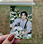Jaehyun - Dandelion - Imagem 3