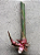 Helicônia Rauliniana - Imagem 3