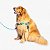 Peitoral para cachorros Antipuxão Quadriculada Azul - Imagem 2