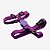 Kit Guia 2 Metros + Peitoral H Purple - Imagem 2