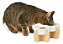 Comedouro Elevado Gato Duplo Ração Pet Porcelana 300ml Marrom-claro - Imagem 6