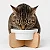 Comedouro Pet Bebedouro Cachorro Gato Elevado Simples Tam M - Imagem 6
