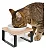 Comedouro Porcelana Bebedouro Cachorro Gato Simples Tam P Marrom-claro - Imagem 6