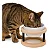 Comedouro Pet Bebedouro Cachorro Gato Elevado Único Tam M - Imagem 6