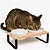 Comedouro Porcelana Bebedouro Cachorro Gato Duplo Tam P - Imagem 6