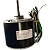 Motor para Ventilador do Trocador de Calor SODRAMAR 1/4CV SD 25 a SD 80 - Imagem 3