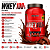 WHEY 100% PURE POTE 900G - INTEGRALMEDICA - Imagem 2
