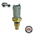 SENSOR TEMP INJECAO TROLLER 3.0 NGD E 3.2 TGV - Imagem 1