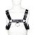 Harness Com Argolas E Suspensório - Odin - Coleção Fetiche Lovetoys - Imagem 3