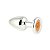 Plug Anal Cromado Signo Leão Tam G - Hard - Imagem 1