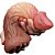 Dildo 18x5cm Dupla Densidade Nature Cock 7.0 - Lovetoy - Imagem 6