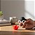 Massageador com 10 Modos de Vibração Pokeball - Lovetoys - Imagem 5