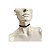 Chocker com Letras Prateadas Gata - Yaffa - Imagem 5