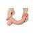 Pênis Dupla Densidade 22 cm x 3,7 cm 9'' Sliding Skin Dual Layer Dong - Lovetoy - Imagem 4