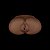 Masturbador Bumbum com Vagina e Ânus Streetgirl's #13 - Lovetoy - Imagem 12