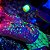 Vela para Wax Play Fluorescente 9,5cm x 3,5cm Coleção Fetiche - Lovetoys - Imagem 5